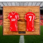 Custom 3D Sports Shirt Sculptures Custom 3D Sports Shirt Sculptures